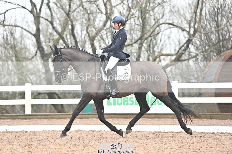 250215-133123-03877 - 165-Elder.Klatzko-Dynasty.Hit