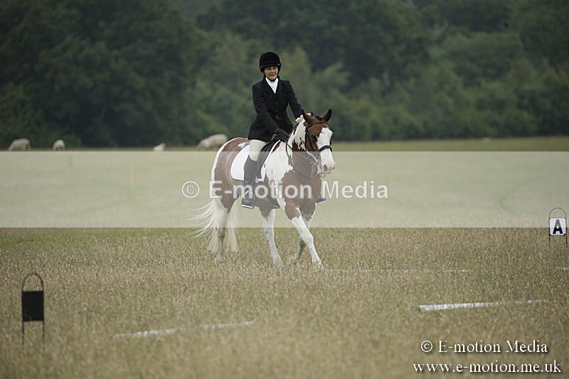 B230619-0217 - Bourne Valley Riding Club Summer Show 23/06/19