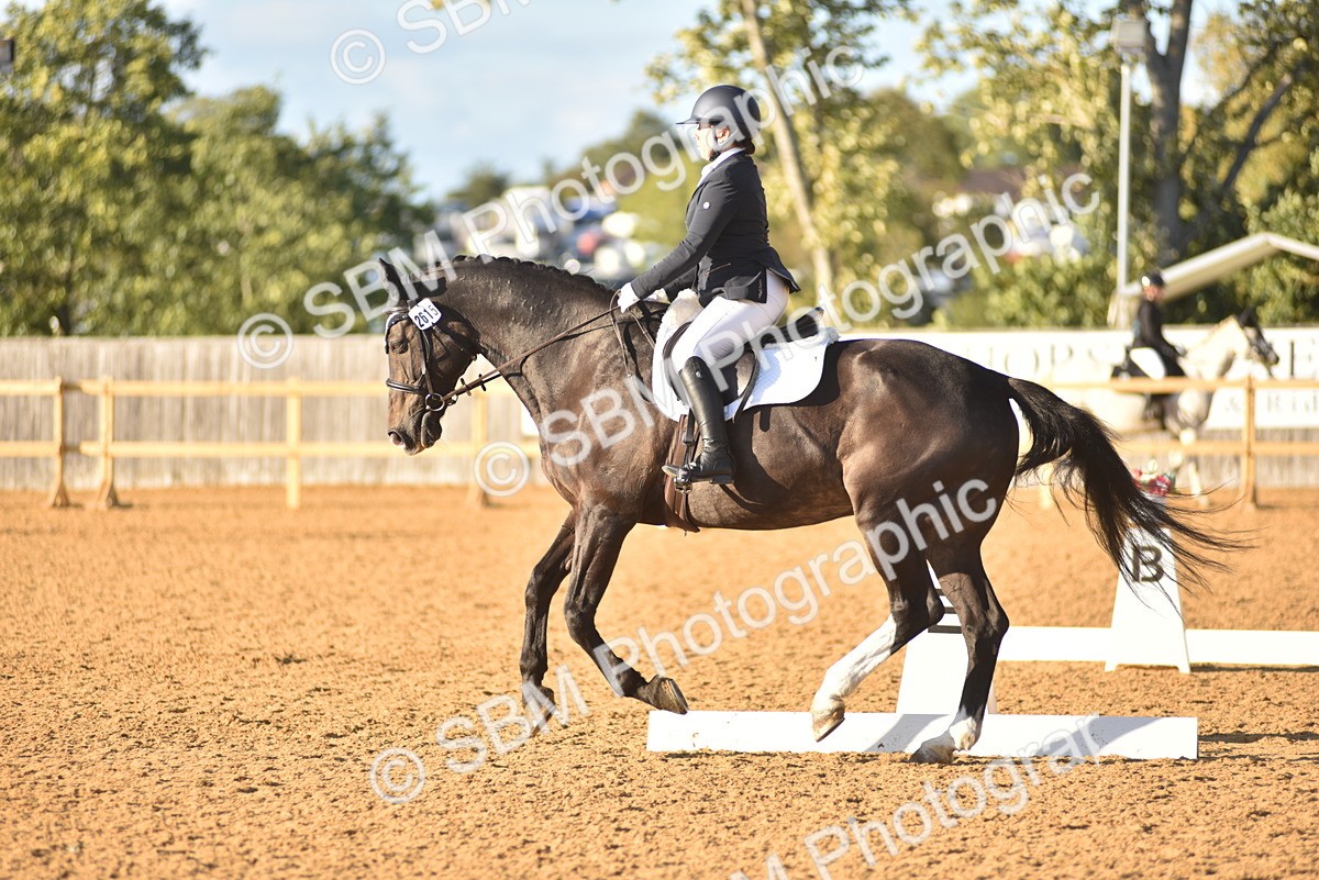 SBM_13318 - D19 - Small Tour Championship Elementary 1