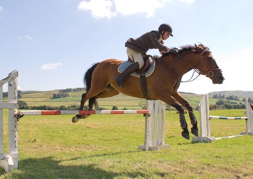 147 - Moniaive Horse Show 2008
