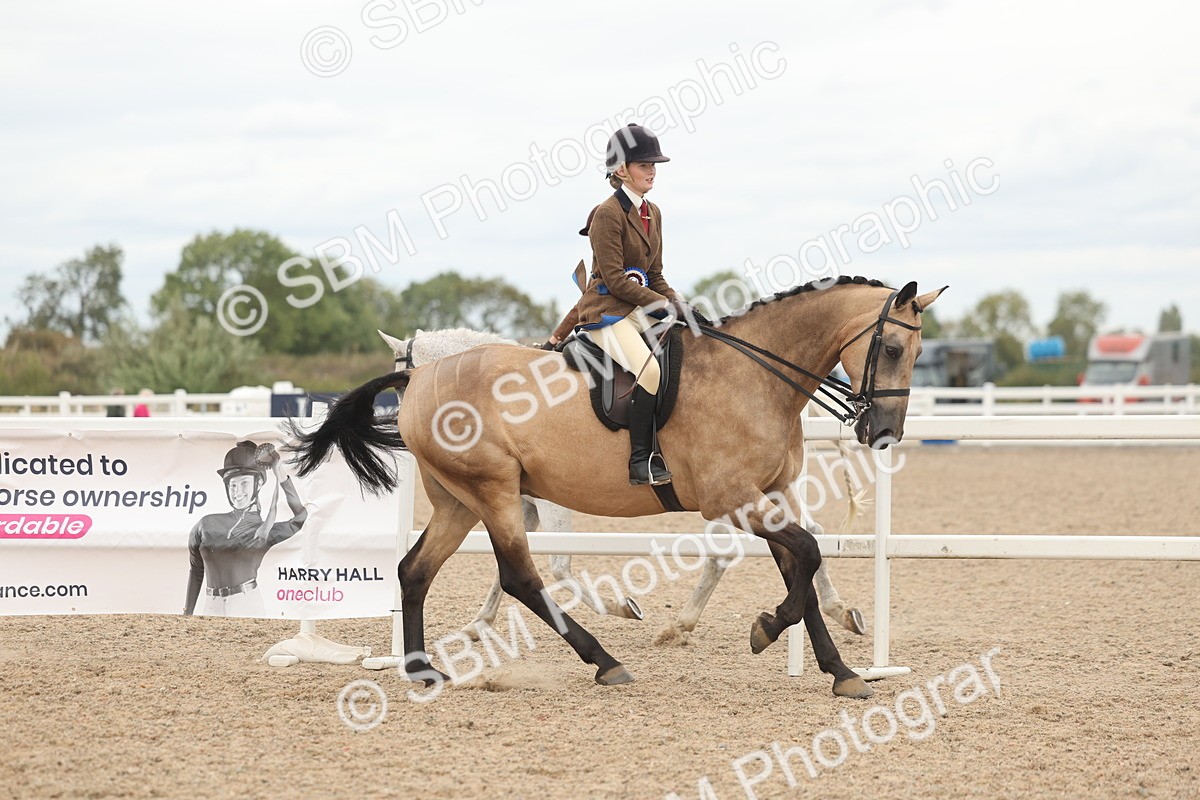 SBM_18236 - Class 315 - Best Horse-Rider Combination