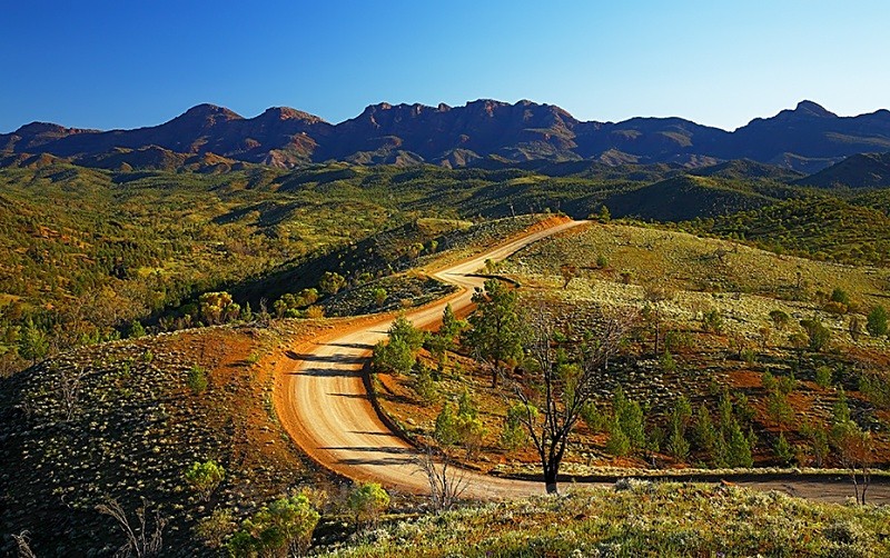 Razorback Ridge 1-4172 - FLINDERS RANGES PHOTOS