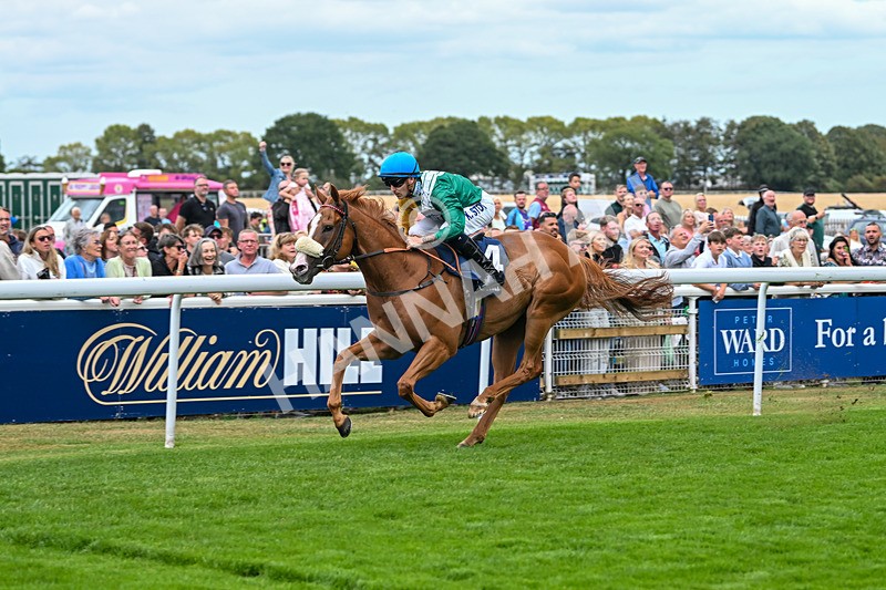 300825-Race 2-Shagraan-0692 - Race 2