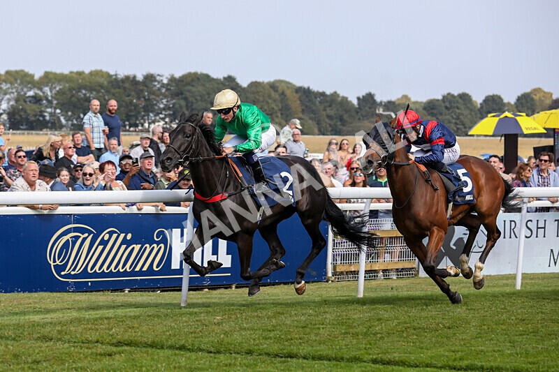 310824-Race 1-Quietness-0971 - Race 1