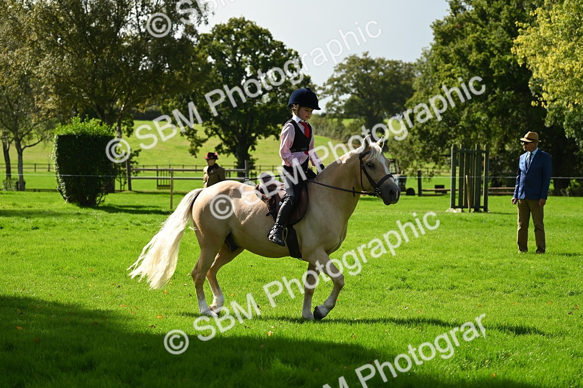 SBM_02739 - S3 - TSR Ridden Pony Showing
