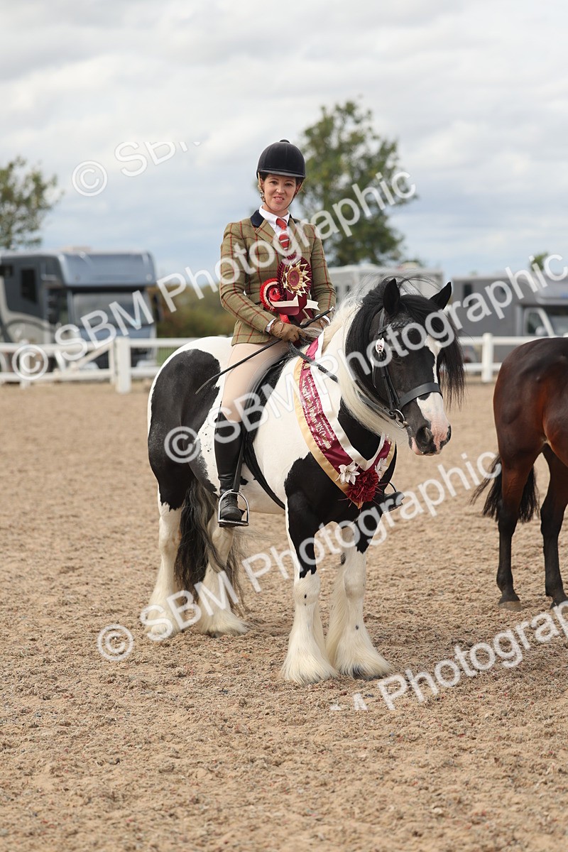 SBM_18068 - Class 314 - Family Horse Pony