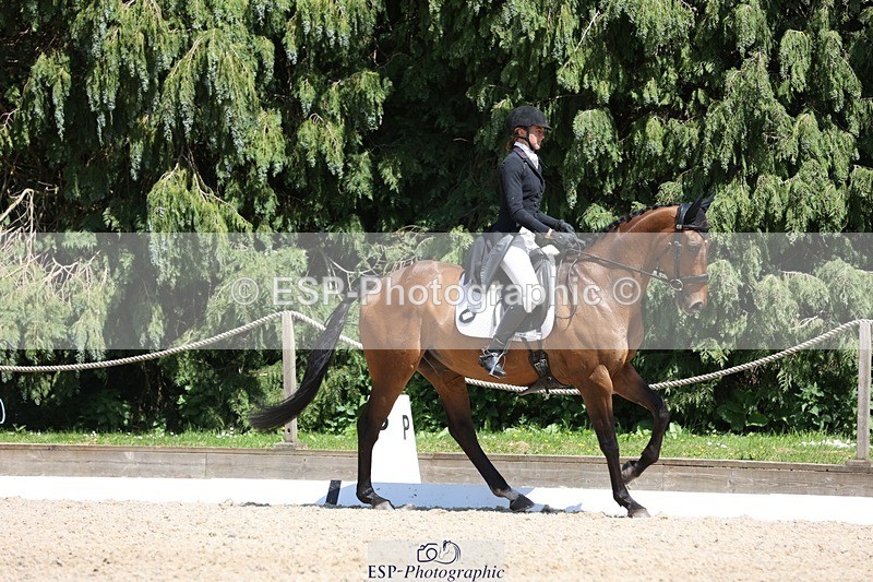 230526-142053-06507 - 373-BENGAL_LORE-Pippa_Taylor-WEDTrotUp+DR