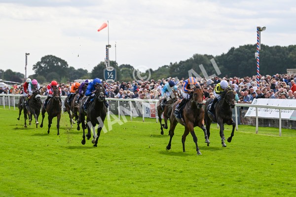 210824-Race 2-The Lion In Winter-4724 - Race 2 2.25pm Tattersalls Acomb Stakes