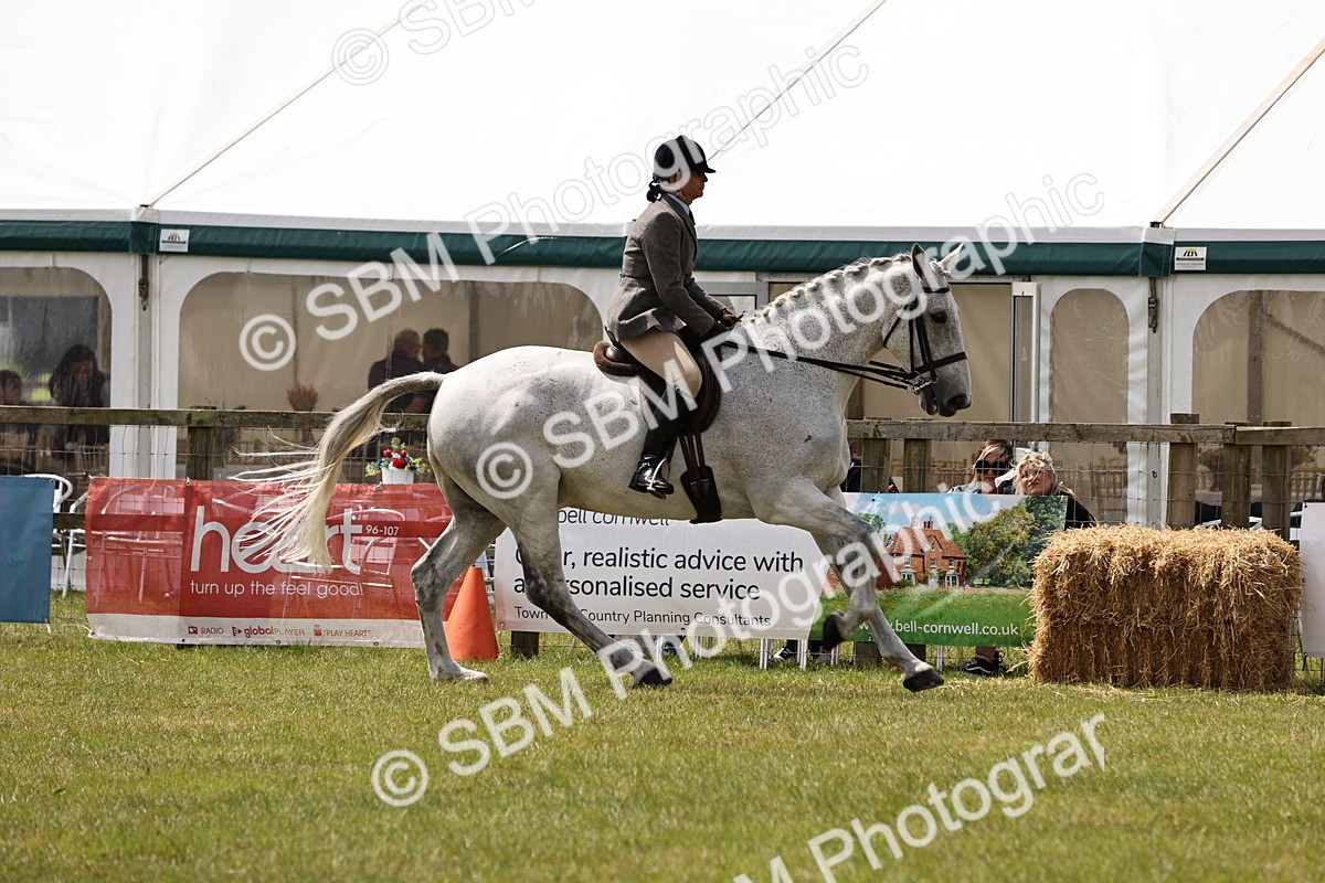 SBM_14696 - Class 88-89 - LIHS BSHA Rising Star of Ridden Hunter Type