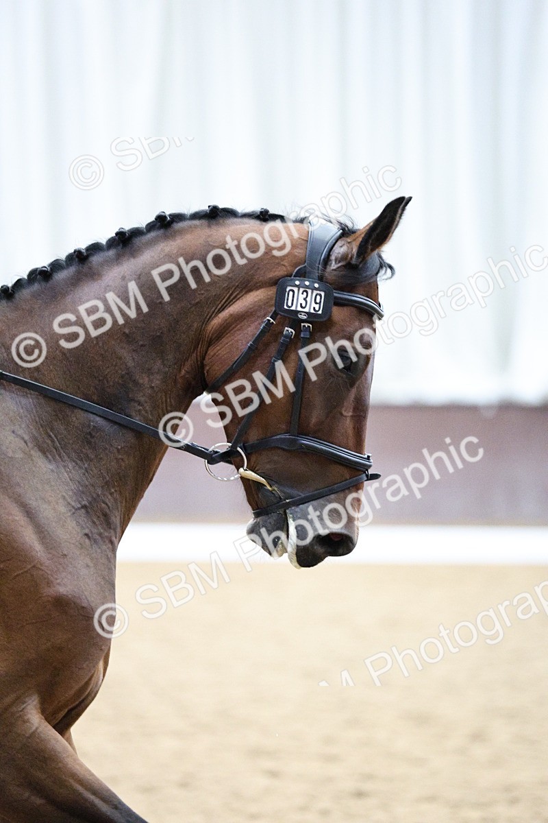 SBM_001287 - Class 5 - Novice 6