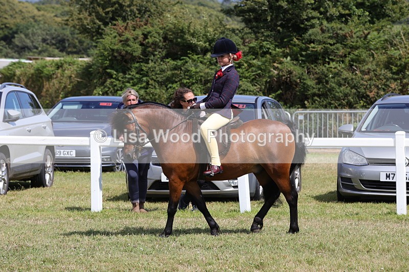 1X9A5359 - Class 37: NPS M&M First Ridden