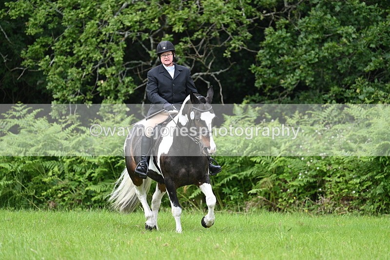 WJ7_2064 - Class 12A Coloured Class