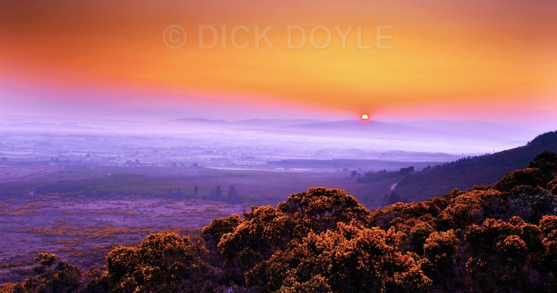 VEE VALLEY - TIPPERARY