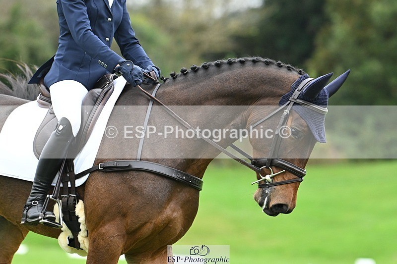 241024-124518-03495 - 518-Carla.Williamson-POWERS