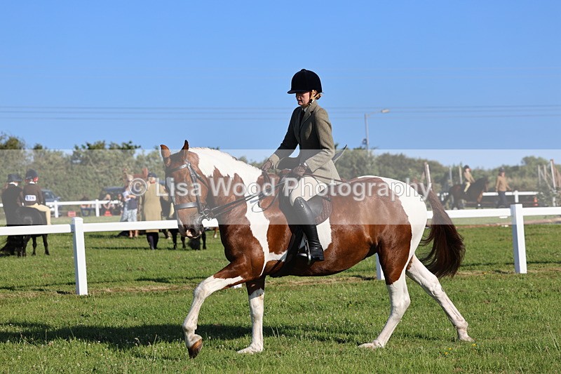 IMG_1244 - Class 27: Ridden Plaited Coloured Horse