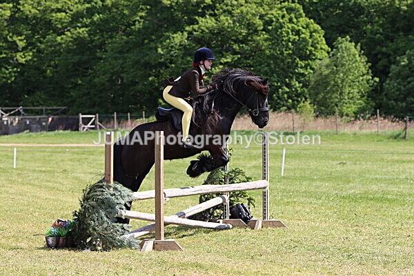 IMG_4286 - Working Hunter
