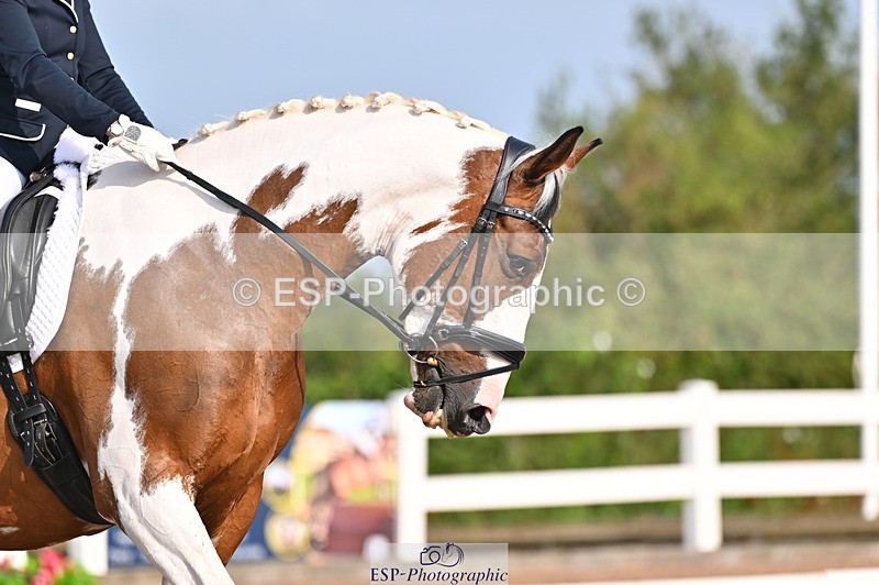 240817A-093214-06625 - 131-Natalie.Harris-Lets.Do.It.LS