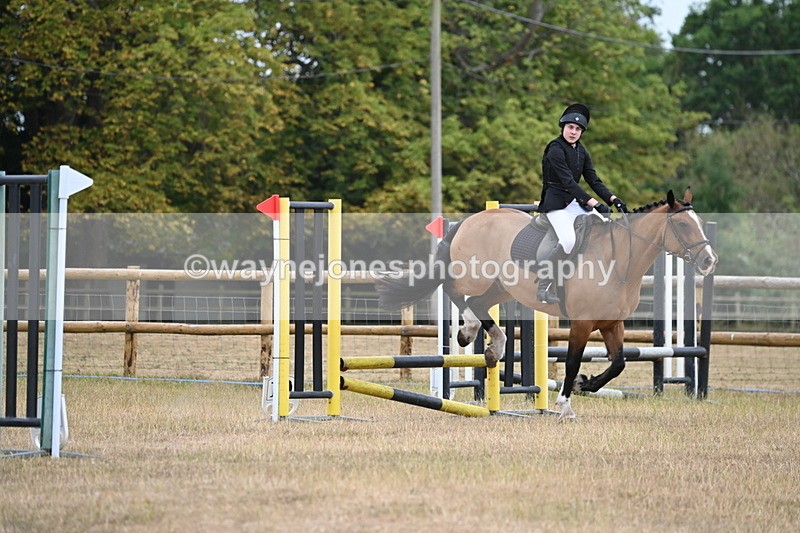 WJ6_0196 - Class 13 Novice Jumping 60cm