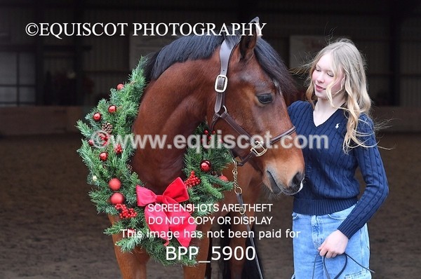 BPP_5900 - Marion West pony 3