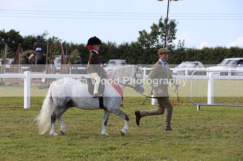 1X9A5503 - M&M Mini Ridden Championship