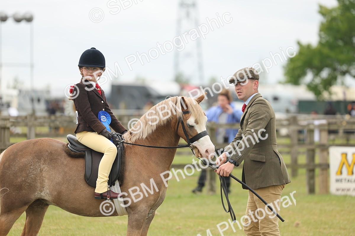 SBM_06949 - Class 74-75 - M&M Lead Rein and First Ridden Pony