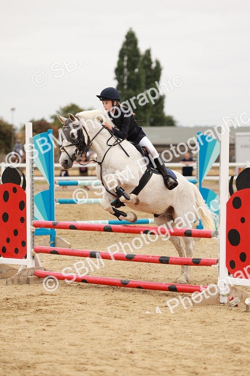 SBM_008336 - Class 5 - 80cm