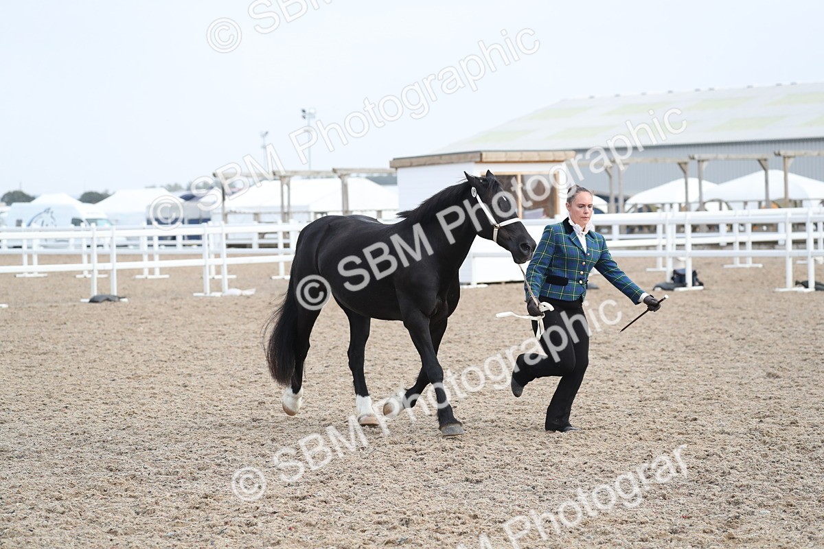 SBM_23322 - Class 606 - 2025 Area - IH Pre Vet