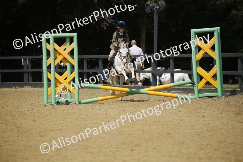 20250622-3961 - 50cm