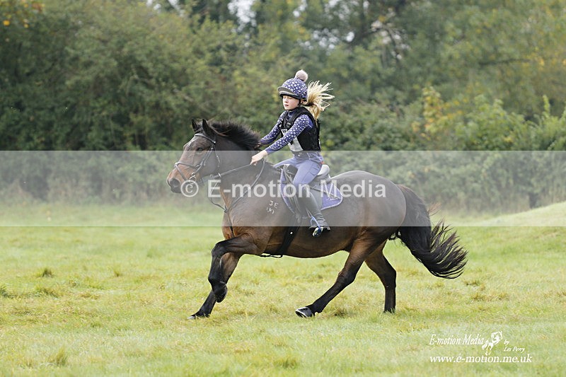  WWHT 171021 0971 - Open Novice (0.80m)  17/10/21