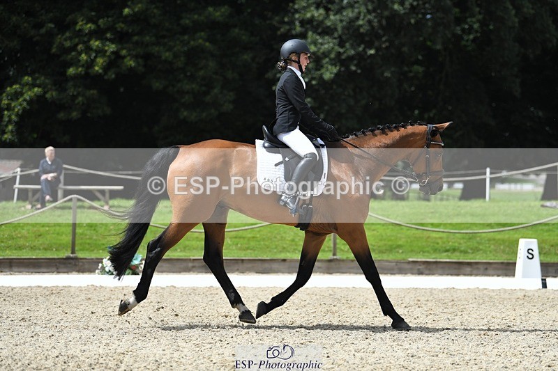 230812-130817-04268 - Cls 6 Novice Silver 12.10 to End