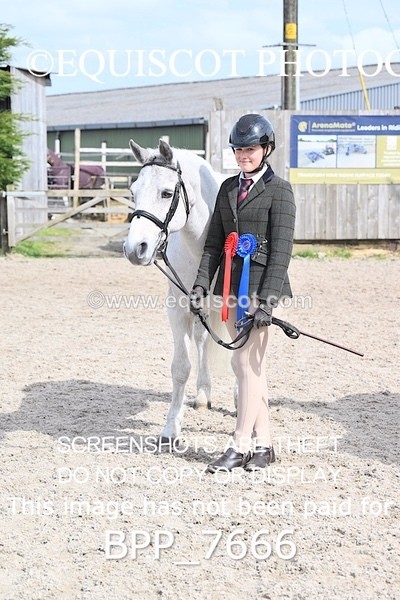 BPP_7666 - RING 1  (RIDDEN HORSES / IN HAND / VETERAN ETC)