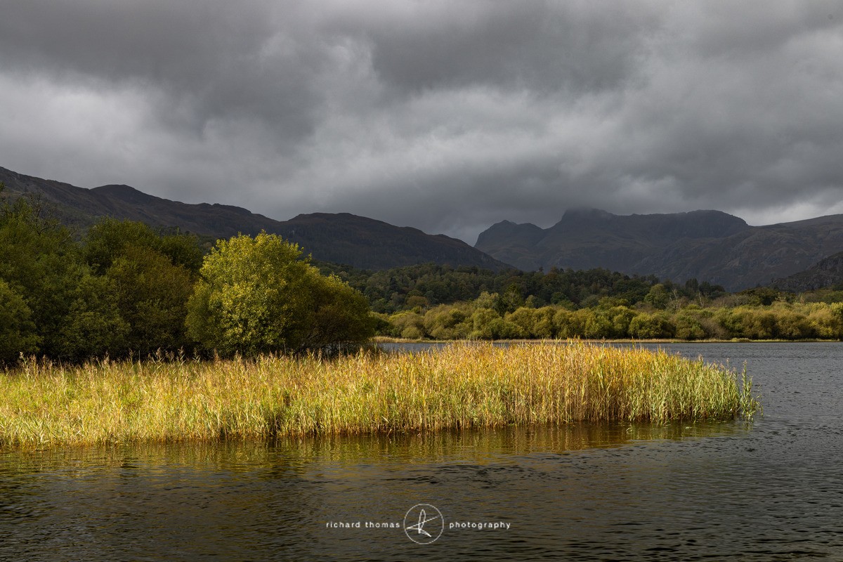 Elter Water light - Lake District - Freshwater