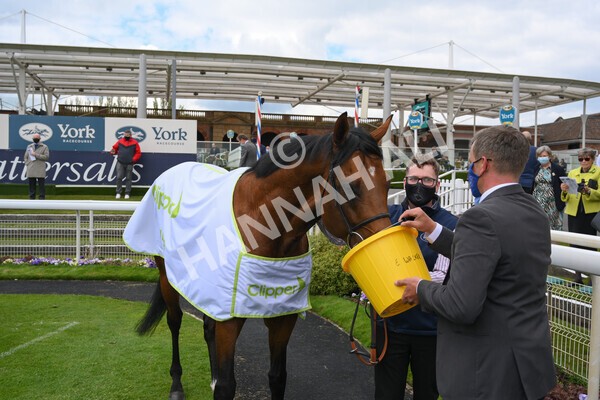 yr12052021r3-45 - Race 3 2.40pm Duke of York Clipper Logistics Stakes