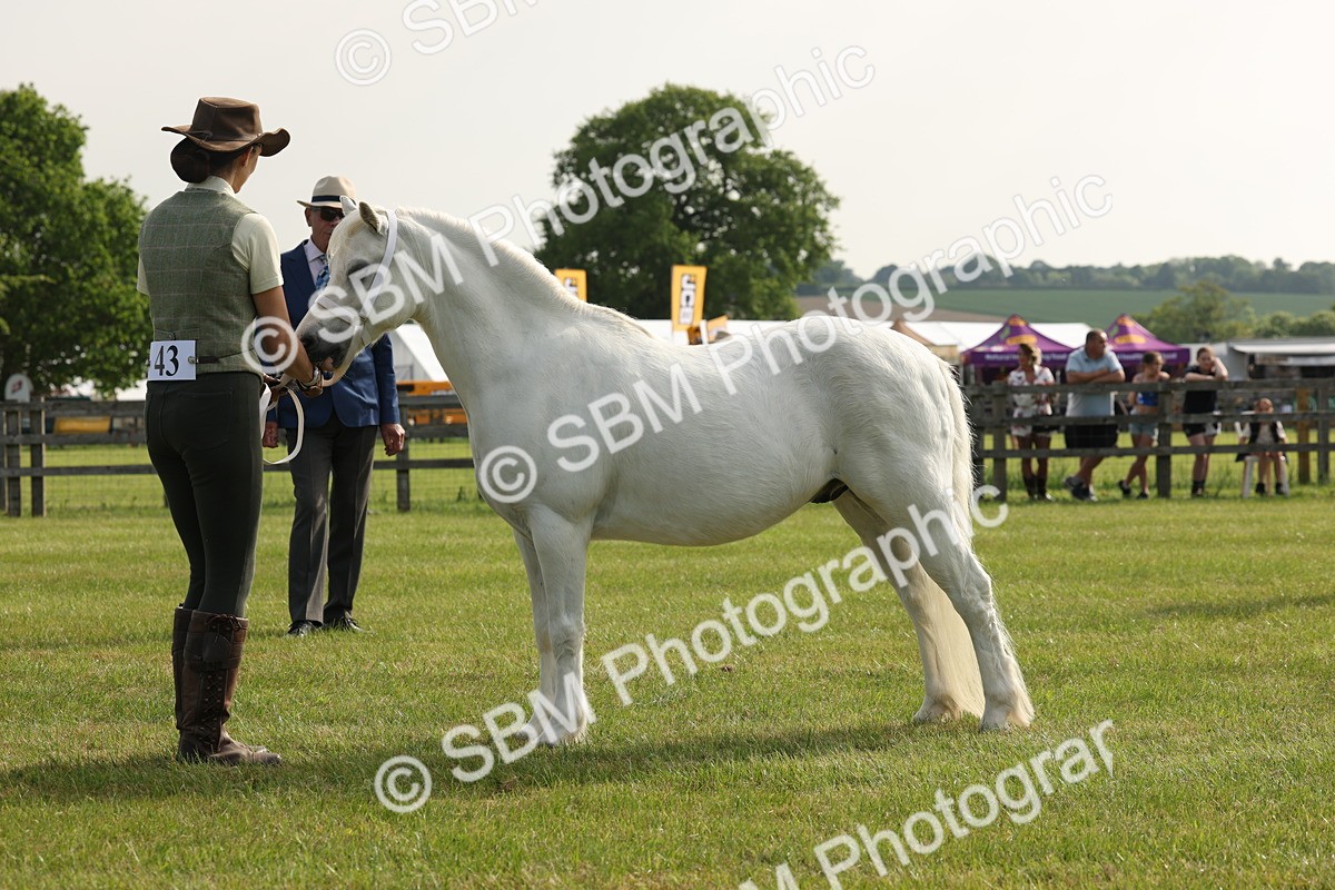 SBM_00567 - Class 6-13 - Mountatin and Moorland In Hand Welsh Breeds