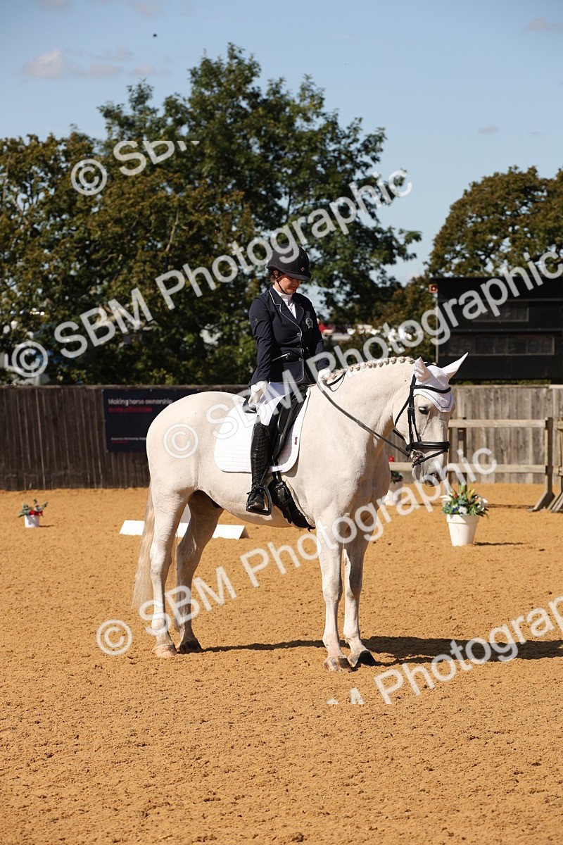 SBM_24144 - D5 - Small Tour Championship - Intro C