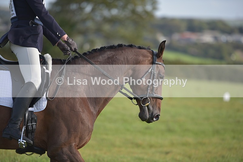 RAY_7254 - Class 2B: Trekenning Open: Dressage