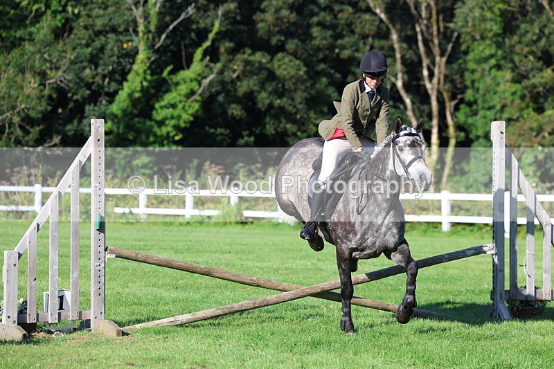 3E7A7528 - Class 1: Novice Working Hunter Pony