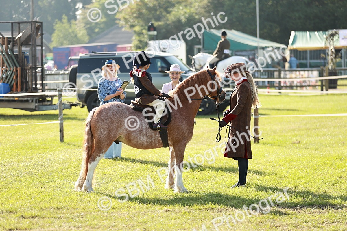 SBM_11189 - Class 106-107 - BSPS LIHS Working Sports Pony