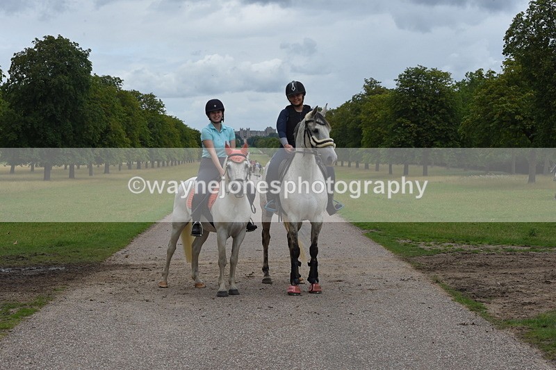 TT3_9886 - Time at Crossing 11:28 to 13:16