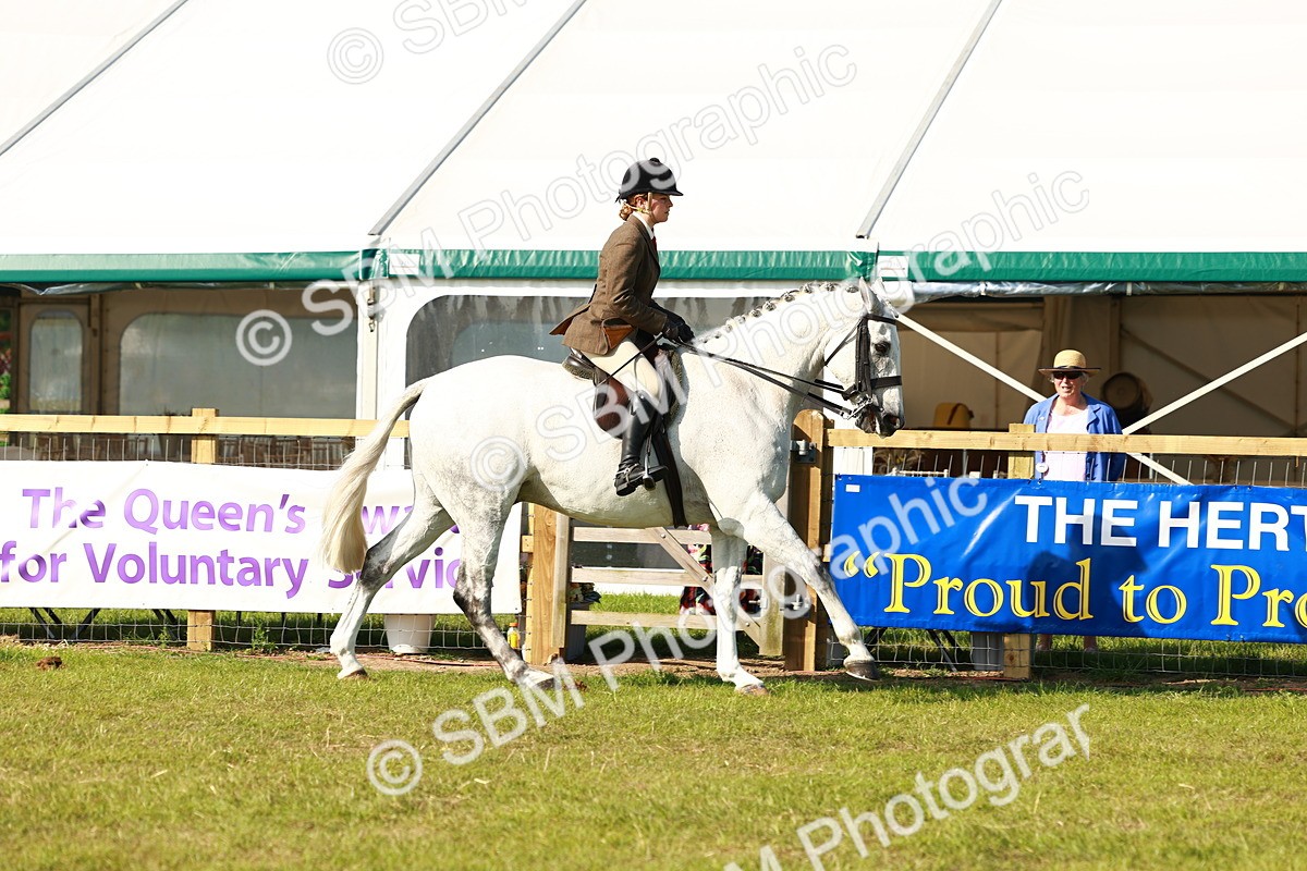 SBM_10898 - Class 66-69 - RIHS Ridden Hunters Inc Small Hunter