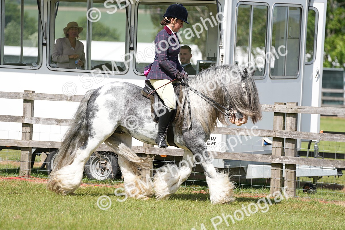 SBM_17095 - Class 107-108 - LIHS BSPS Performance Coloured Horse Pony