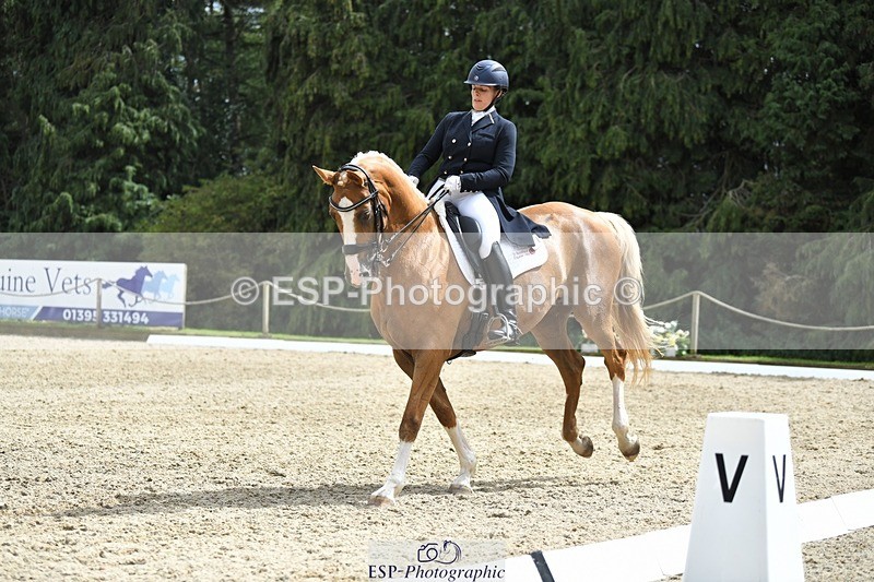 230812-144424-04786 - Cls 7 FEI PSG Bronze