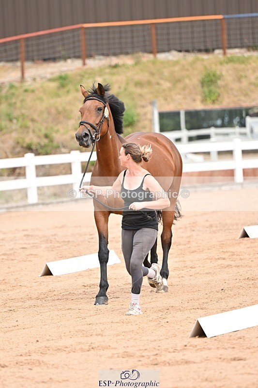 250716-150843-01687 - Trot Up 2.30 to 3.30