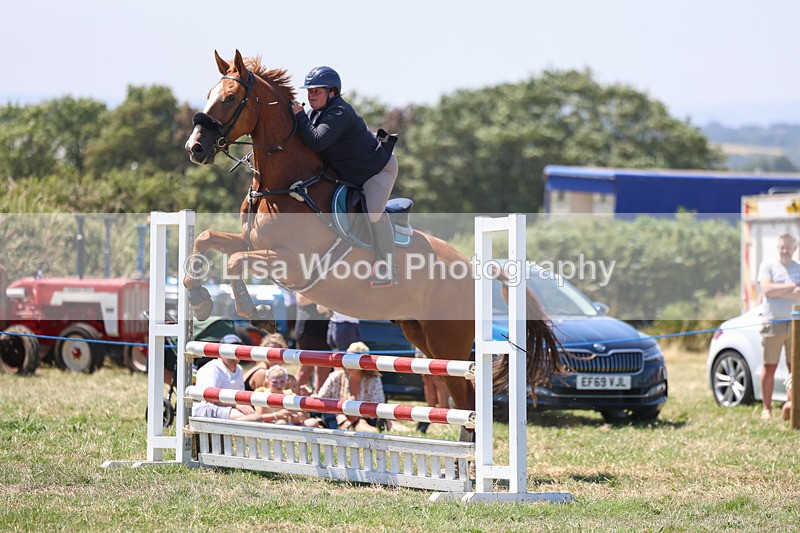 3E7A4431 - Class 10: Senior British Novice/90cm open