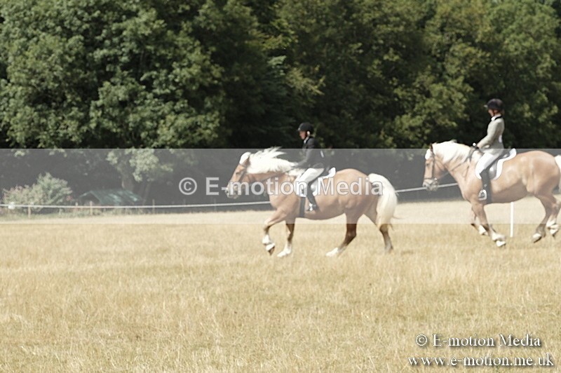 _PJP6063 - BVRC Show 2018 Ring 1