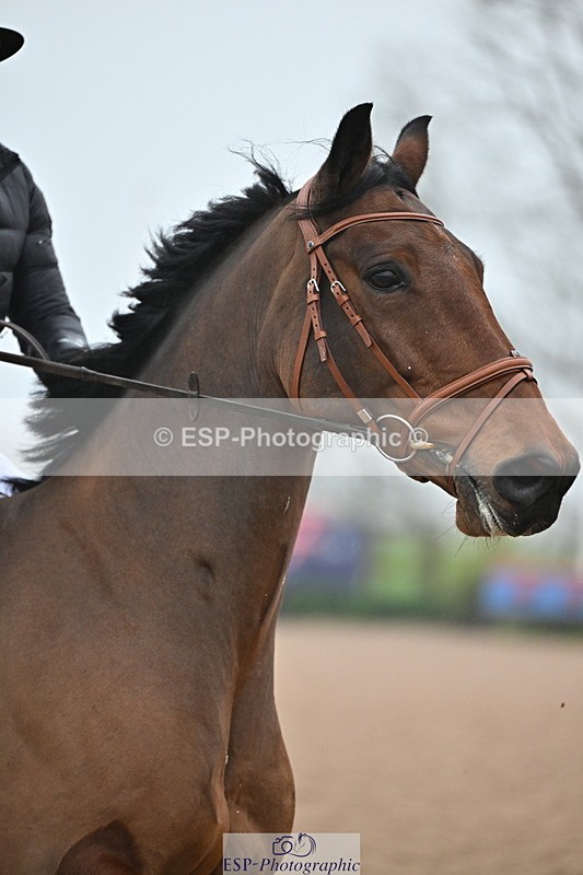 241103A-105919-06825 - SUN Cls 18 British Novice and 90cm Open