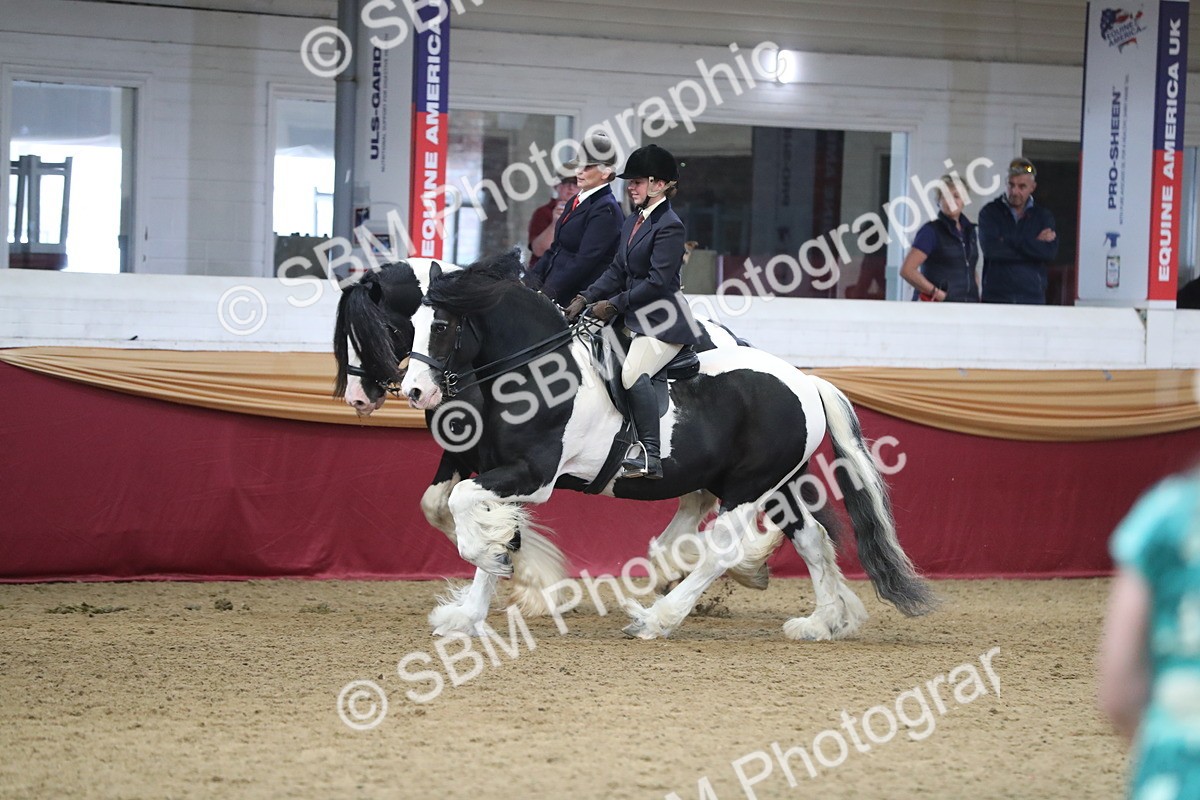SBM_13671 - Class 109 Ridden Pairs - Section B