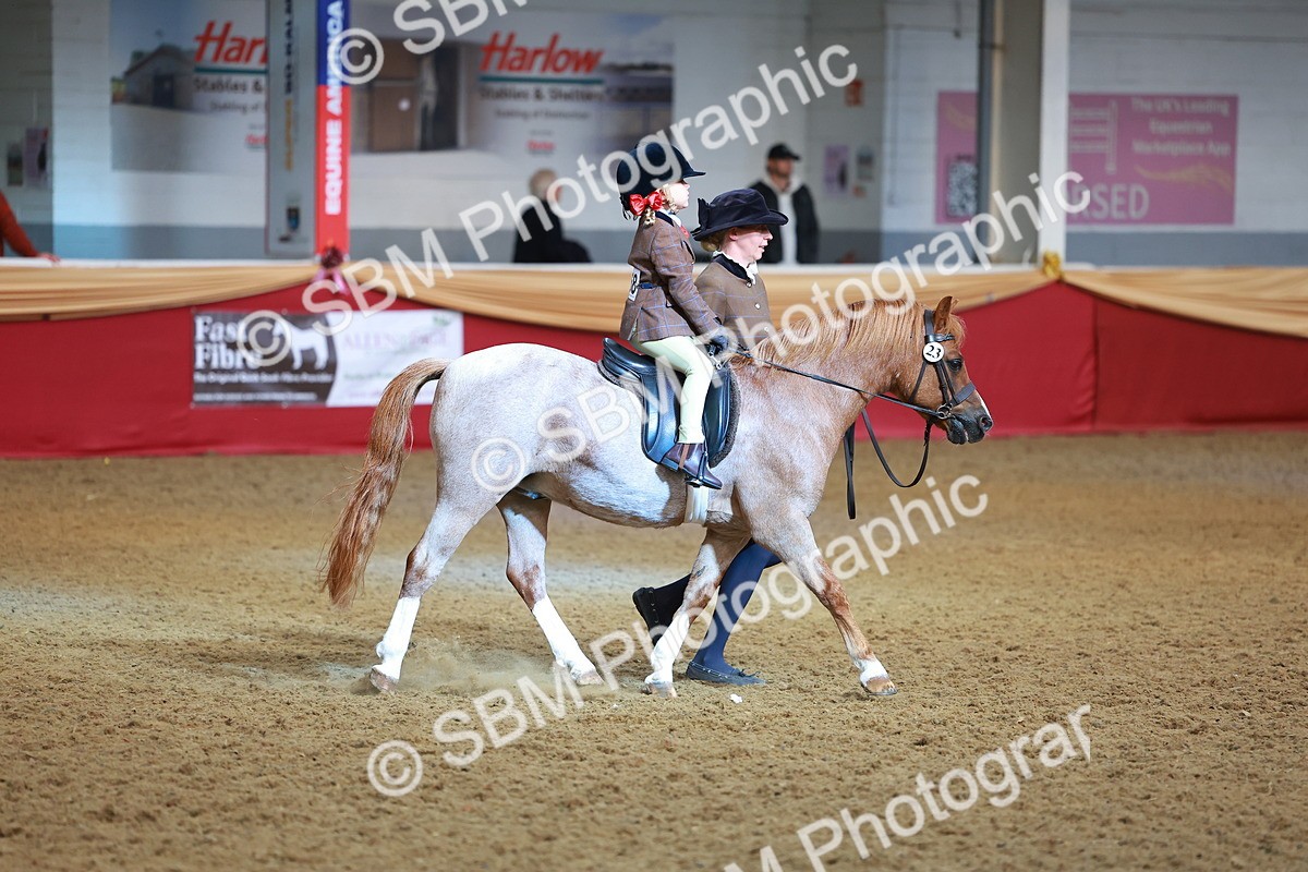 SBM_09534 - Class 102 - HOYS Veteran Qualifier - Ridden Veteran