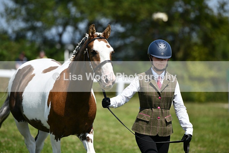 DSC_7778 - Class 64: Coloured Pony 4yrs & over