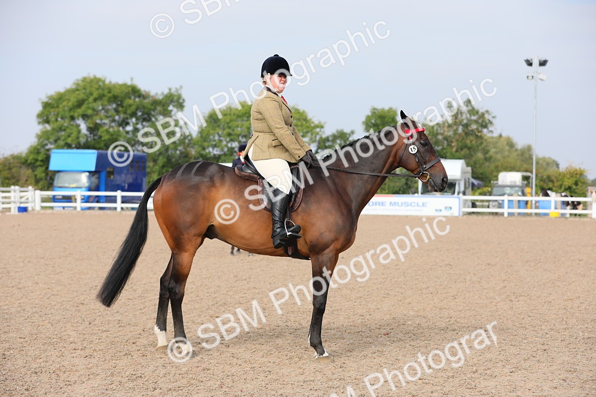 SBM_10702 - Class 303 Ridden Pure Bred Horse/Pony (excl M&M)